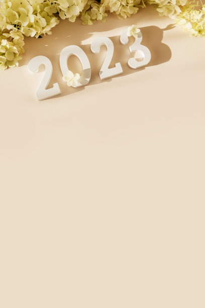 白色木号2023在柔和的米色背景与花朵。俯视图，平铺。2023年新年快乐。图片下载
