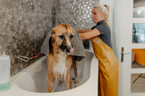 我挺过来了图片下载