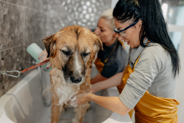 好男孩图片下载