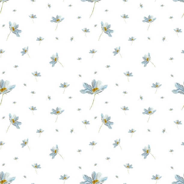 甘菊雏菊图案水彩图案素描图片下载