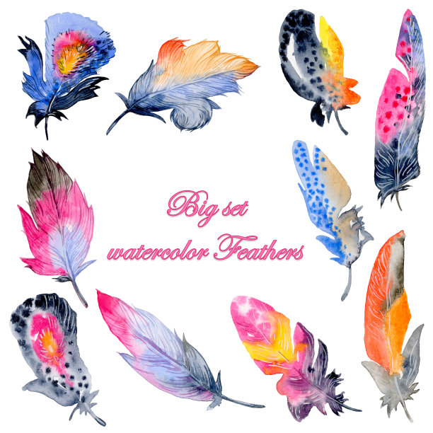 羽毛元素大集。手绘水彩插图。图片下载