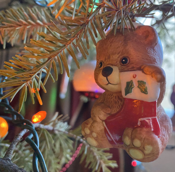 圣诞熊图片下载