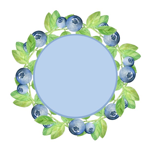 蓝色圆框，蓝莓叶。手绘水彩插画与蓝莓。图片下载