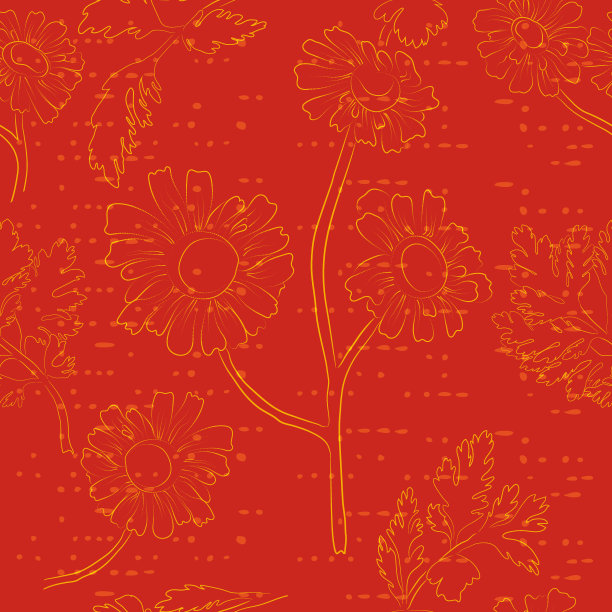 无缝图案与小白菊轮廓花图片下载