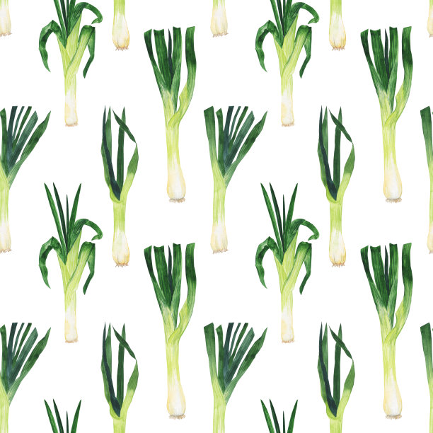 新鲜的韭菜无缝模式上的白色背景。水彩手绘插图。非常适合食品设计。图片下载