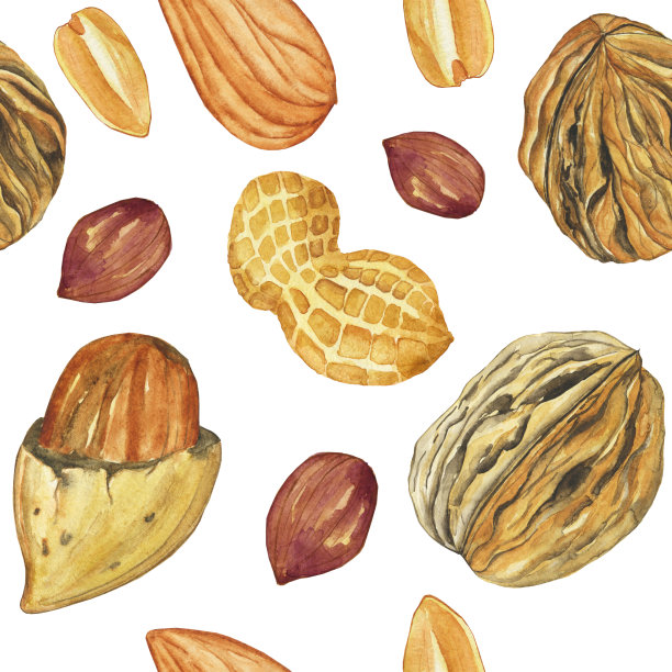 水彩坚果无缝图案花生，杏仁，核桃在白色背景。纺织品，墙纸的手绘插图。图片下载