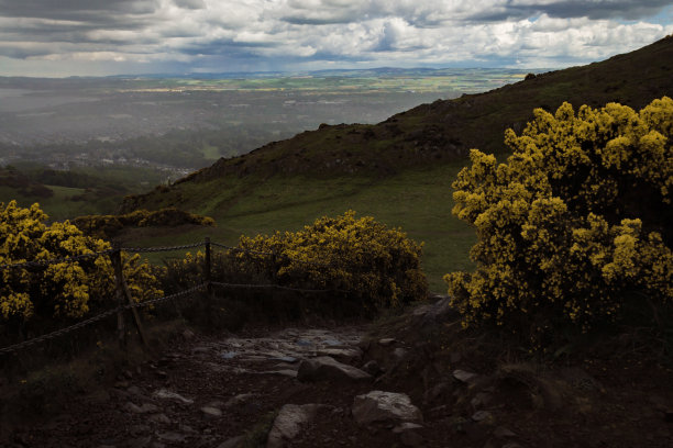 爱丁堡景观与多云的天空和一束花在前景图片下载