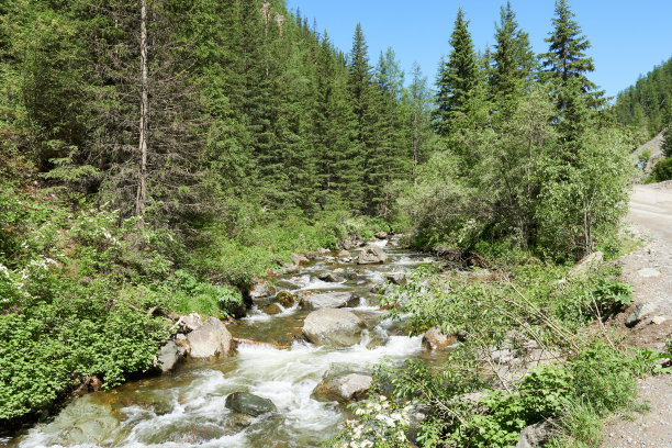 山河以森林为背景。大自然的全景。图片下载
