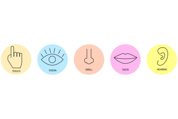 现代感官装置。卡通图标。矢量插图。股票的形象。图片下载