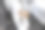 杰克罗素梗正坐在浴室的白色马桶上。背景中可见一个贝壳。狗狗撒尿拉屎图片下载