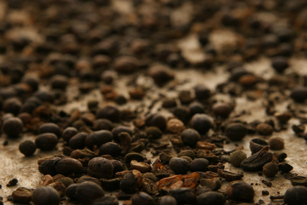 咖啡豆图片下载