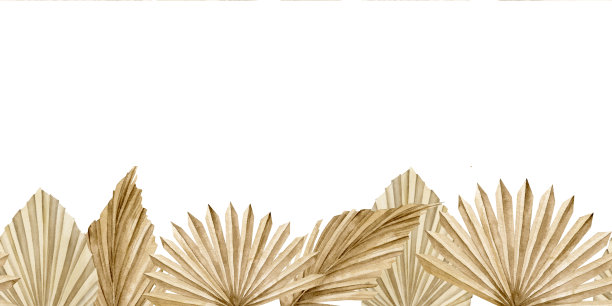 水彩无缝图案与干棕榈叶波西米亚风格。手工绘制边界异国情调的热带干燥植物框架或婚礼请柬。孤立背景上的模板图片下载