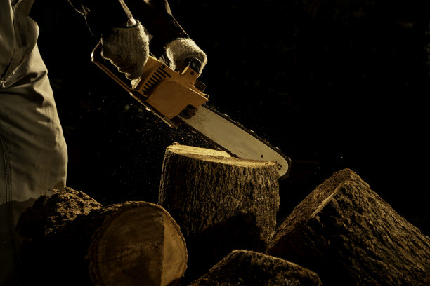 电锯在森林里砍树，用来盖房子和做柴火图片下载