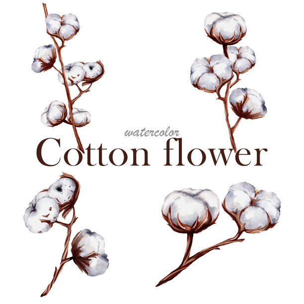 水彩棉花集合元素矢量图片下载