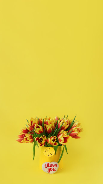 红色和黄色的郁金香装在锡罐里，石头心形，黄色背景上手写的“我爱你”，竖着，16:9图片下载