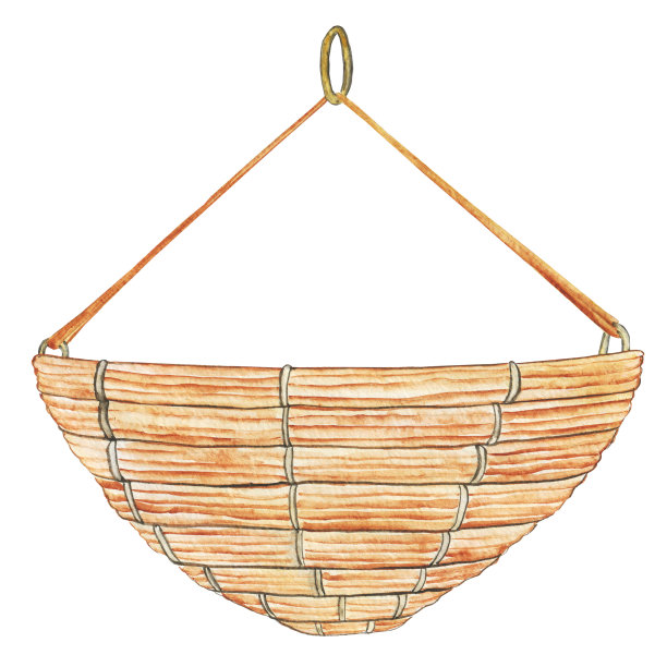 挂锅孤立在白色背景。水彩手绘插图。装花的篮子。图片下载