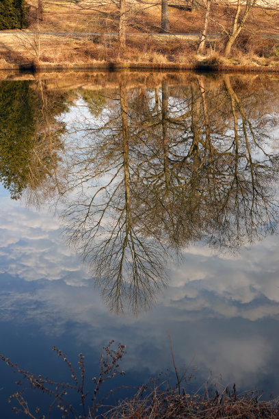 秋天反射图片下载