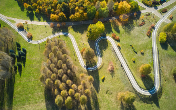 森林中的道路鸟瞰图。前视图。图片下载