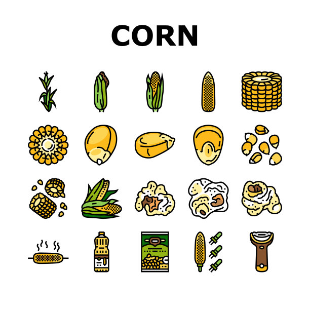 玉米玉米绿，穗轴甜图标集矢图片下载