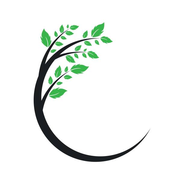 树叶矢量标志设计图片下载