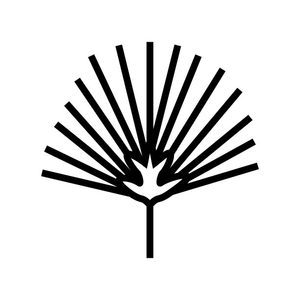 Chamaerops热带树叶线图标矢量插图图片下载