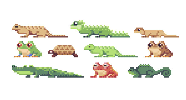爬行动物，两栖动物像素艺术集。蜥蜴，青蛙和鳄鱼收藏。图片下载