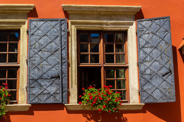 仿古历史建筑立面。有鲜花的窗户。利沃夫,乌克兰。欧洲旅行照图片下载