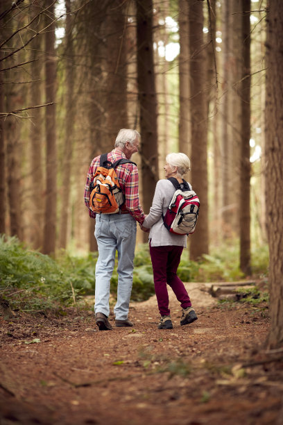 后景，相爱的退休老夫妇手牵着手一起在林地乡间远足图片下载
