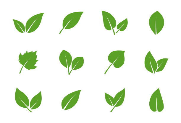离开图标设置。绿叶图标。树木和植物的叶子。生态，生物和素食标志的矢量元素。矢量插图。图片下载