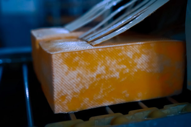 传送带上的一块奶酪。奶酪工厂。图片下载