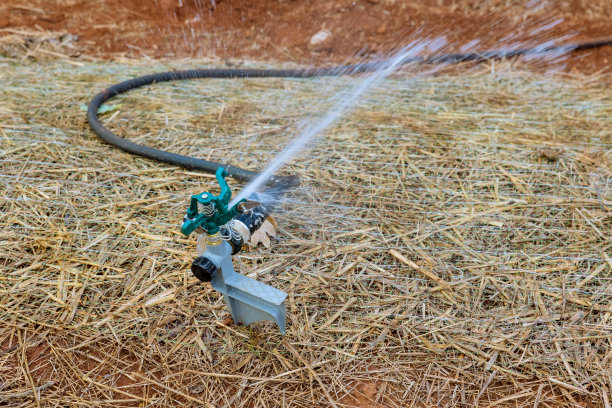 通过使用草坪洒水器浇灌草坪来美化庭院图片下载