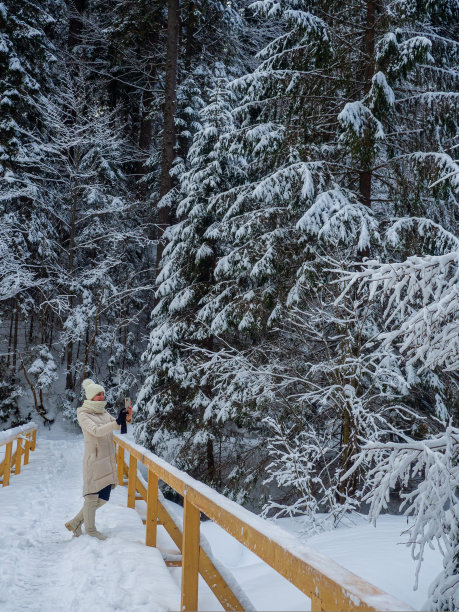 冬天的山林图片下载