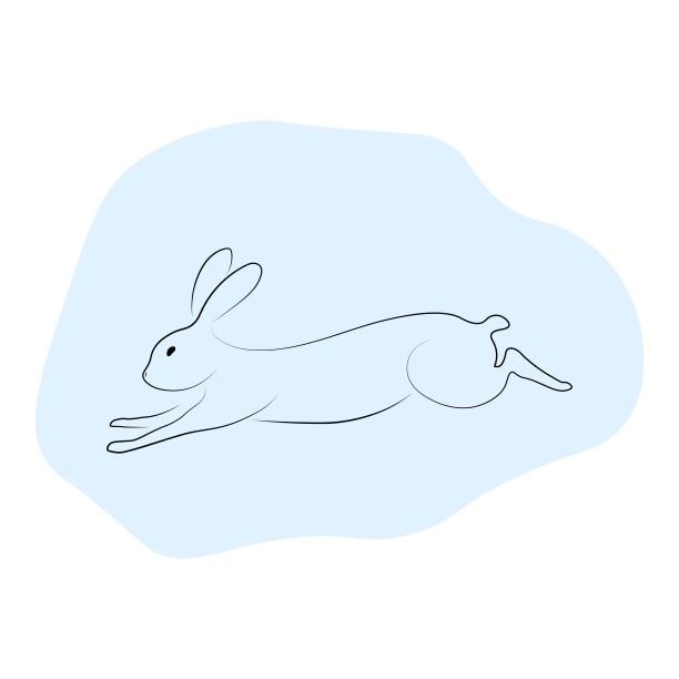 轮廓兔跳回视线艺术与斑点隔离在白色背景，兔子2023年和复活节设计图片下载