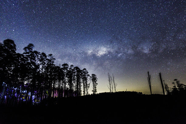 澳大利亚丛林中的银河图片下载