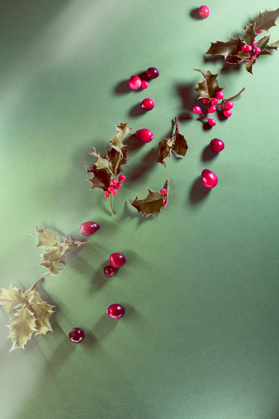 圣诞公寓铺着绿色和红色。圣诞背景与自然冷杉枝，冬青叶和蔓越莓莓。自然的冬季装饰。图片下载