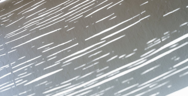 阴影叠加效果的照片。阳光下白色墙壁上树叶和热带树枝的影子。图片下载