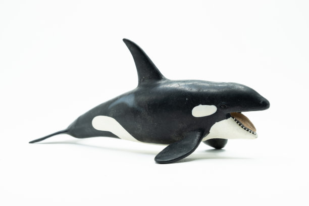 白色背景的玩具图片下载