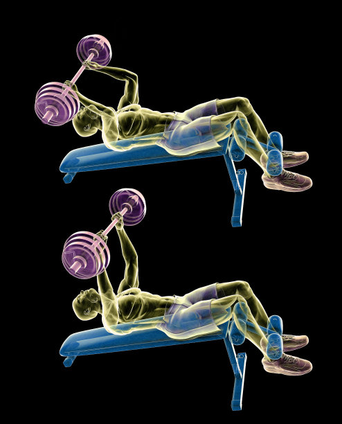 杠铃式肱三头肌伸展图片下载