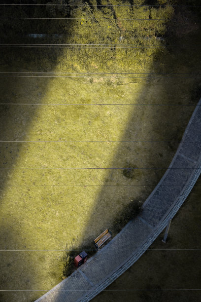 秋天,树木图片下载