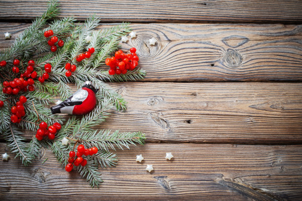 圣诞背景与红色的浆果，玻璃红腹雀和冷杉树枝上的深色木桌图片下载