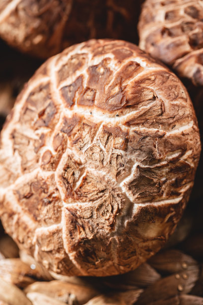 木板上的蘑菇图片下载