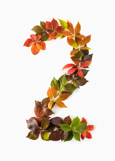 第二件是用色彩斑斓的秋叶做成的，孤立地放在白色的背景上。图片下载