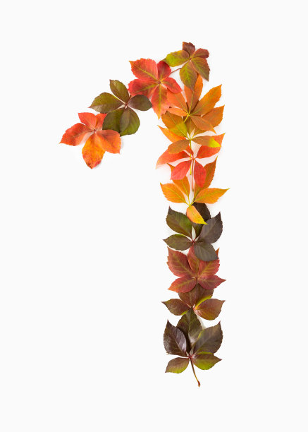 第一件是用色彩斑斓的秋叶做成的，在白色的背景下孤立无间。图片下载