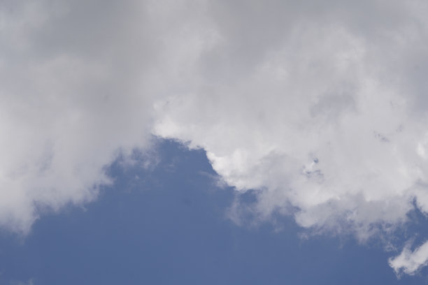 一群鸟在天空中飞翔图片下载