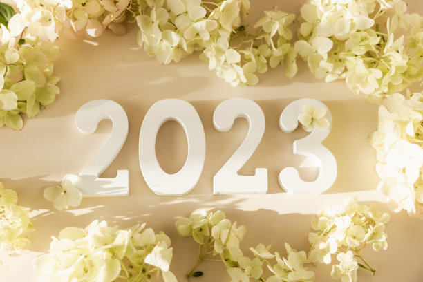 白色木号2023在柔和的米色背景与花朵。俯视图，平铺。2023年新年快乐。图片下载