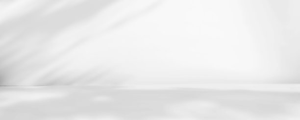 抽象的白色工作室背景的产品介绍。空荡荡的房间，有窗户、花朵和棕榈叶的影子。带有复制空间的3d房间。夏季音乐会。模糊的背景。横幅图片下载