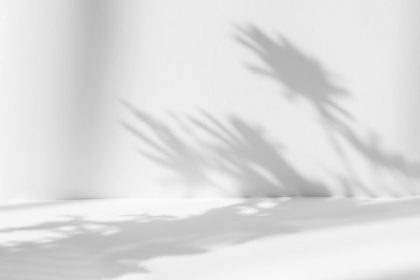 模糊的背景。抽象的白色工作室背景的产品介绍。空荡荡的房间，有窗户、花朵和棕榈叶的影子。带有复制空间的3d房间。夏季音乐会。图片下载