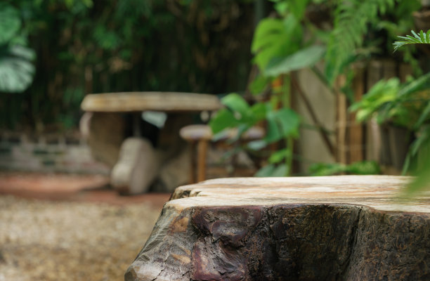柔和的光空顶桌老木桩在热带花园新鲜的绿色植物模糊的背景与复制空间。用于植入式展示，自然户外后院设计。图片下载