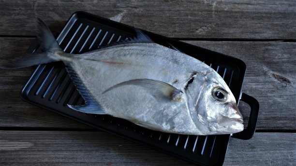 新鲜的Pompano鱼在黑色托盘，在乡村木桌子上。Alectis Ciliaris图片下载