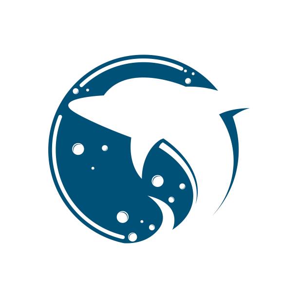 海豚标志模板矢量图标图片下载